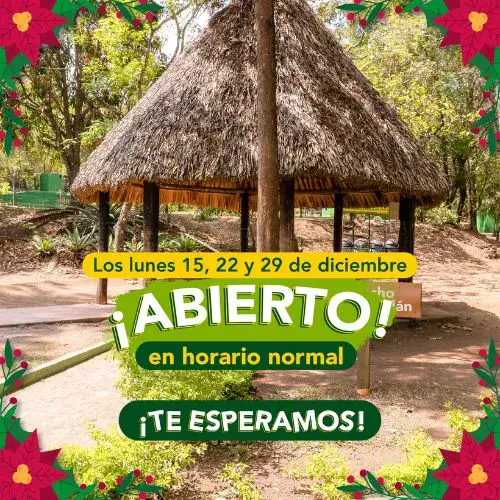 Horarios de fin de año 2025 en el Parque Naciones Unidas