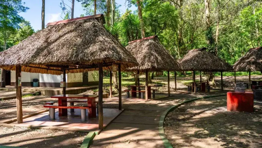 Horarios de fin de año 2025 en el Parque Naciones Unidas