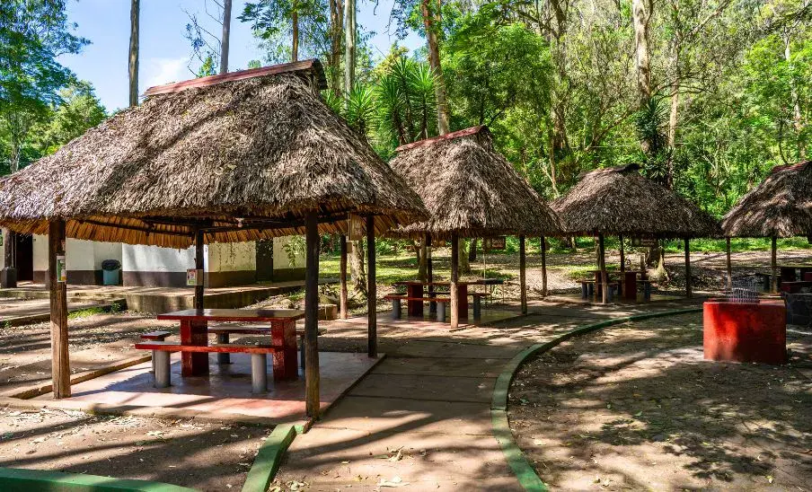 Horarios de fin de año 2025 en el Parque Naciones Unidas