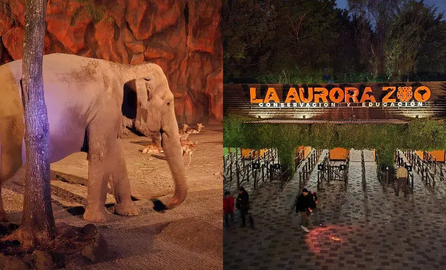 Noches de Luna en Zoológico La Aurora 2026