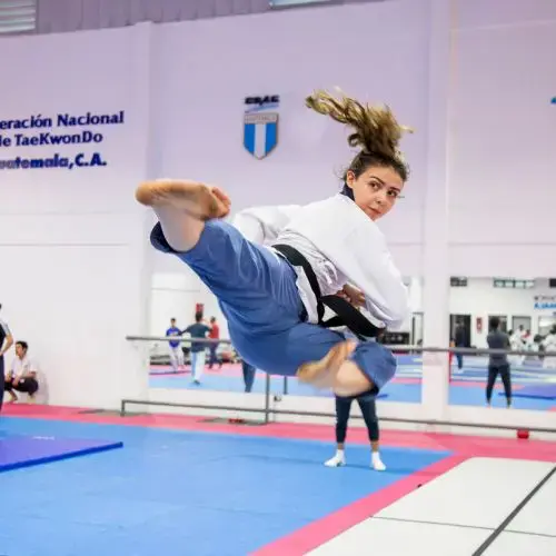 Ranking Mundial de Taekwondo 2025