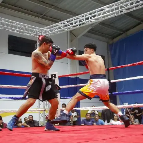 Remsey Trujillo pelea por el título supermediano WBF