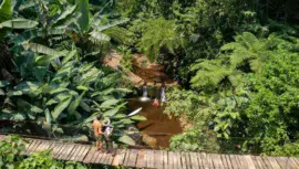 Reserva Natural El Patrocinio