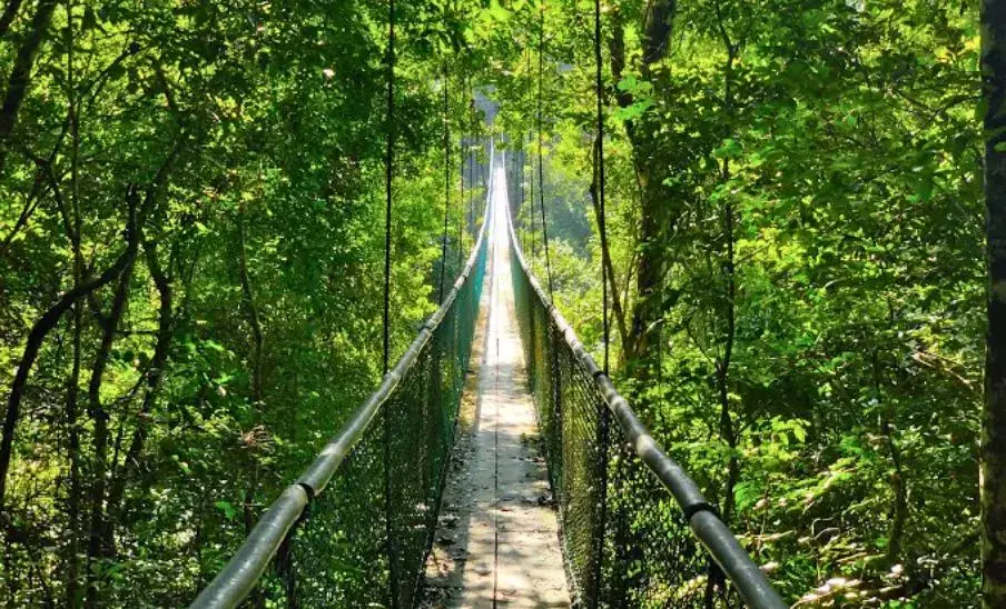 puentes colgantes en guatemala