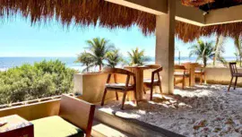 rosa jamaica el paredón