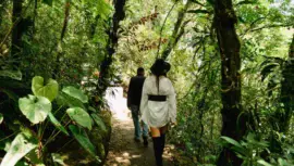 Áreas protegidas con Sello Q Verde en Guatemala