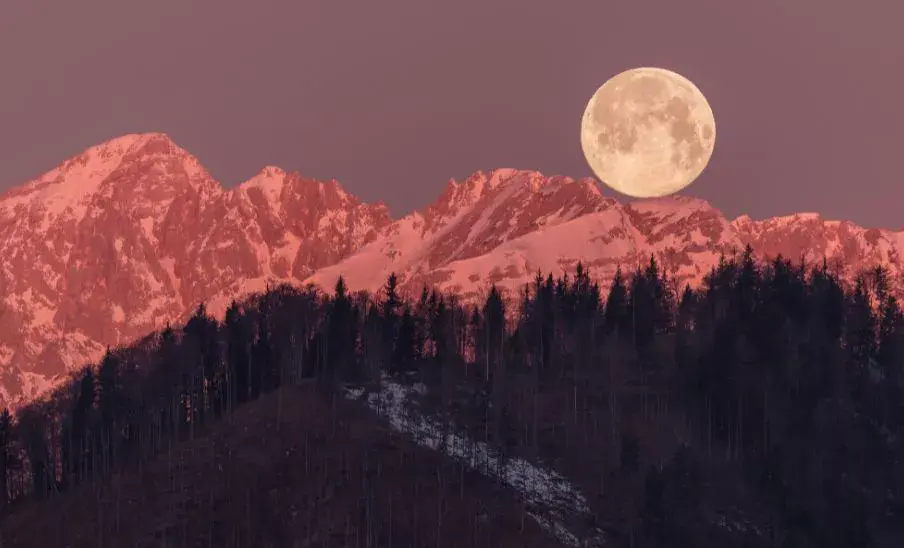 Observa estos 4 eventos astronómicos en febrero 2026