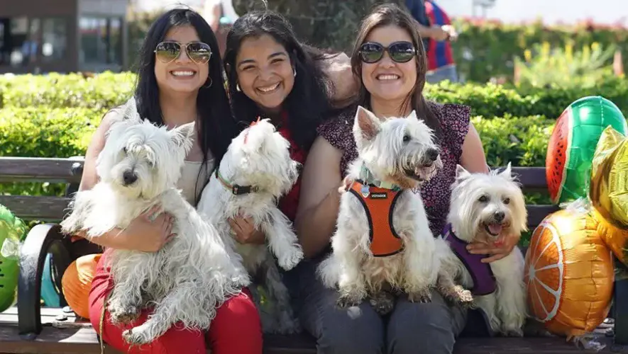 Festival para Mascotas 2026 en Ciudad Guatemala