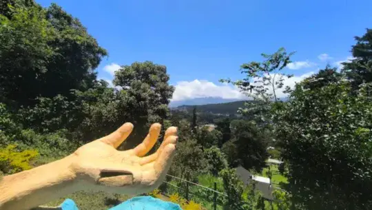 Hana's Garden
