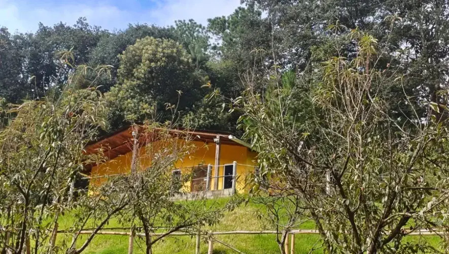 Hoteles pet-friendly en Quetzaltenango