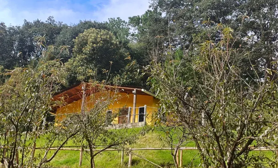 Hoteles pet-friendly en Quetzaltenango