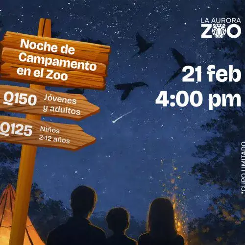 La Noche de Campamento 2026 en Zoológico La Aurora