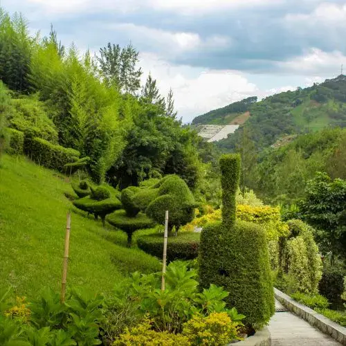 Lugar Entre Verdes