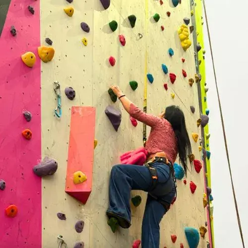 Muro de escalada Vértika
