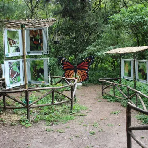 Parque Ecológico Deportivo Cayalá