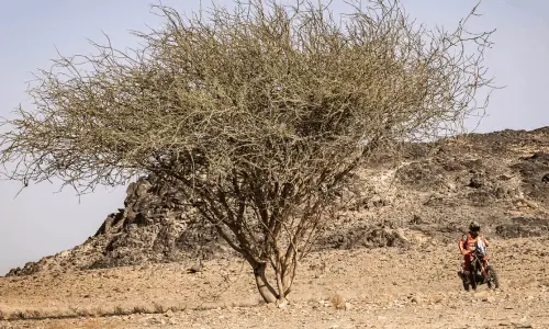 Rally Dakar 2026 Francisco Arredondo etapa 13