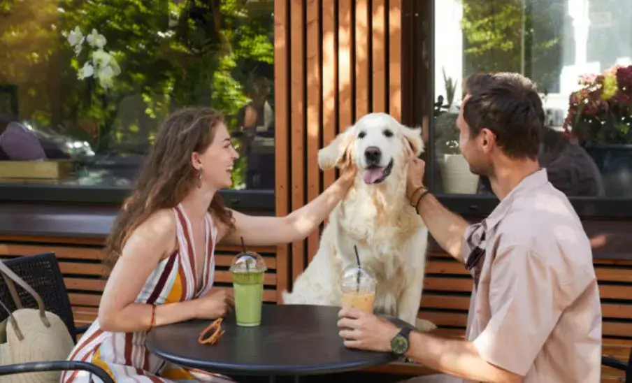 Restaurantes para ir con perros Gt