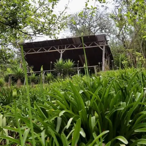 caminata-bosque-de-cuatro-caminos-antigua-guatemala