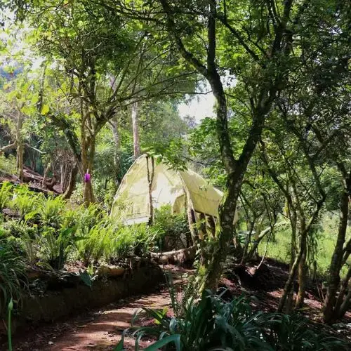 caminata-por-bosque-de-cuatro-caminos-antigua-guatemala