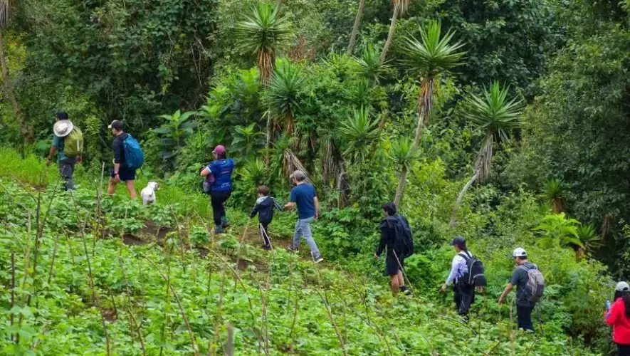 Recorre un bosque cerca de Antigua Guatemala