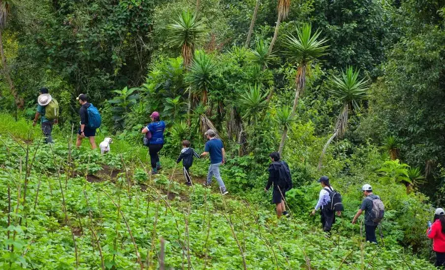 caminata-por-el-bosque-de-cuatro-caminos-antigua-guatemala