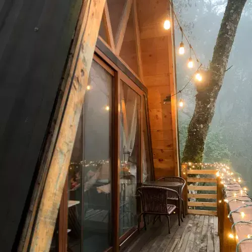 Cabin in the Woods