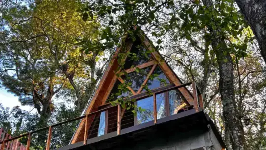 Cabin in the Woods