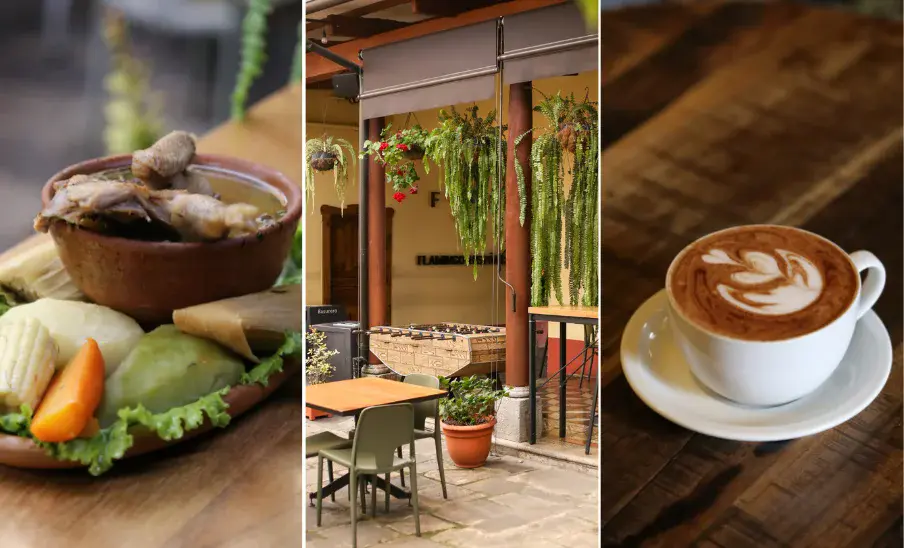 Casa Cultural Flamingo Histórico, un lugar con gastronomía y espacios diversos