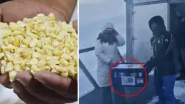 Guatemala en el Banco Mundial de Semillas de Svalbard, Noruega