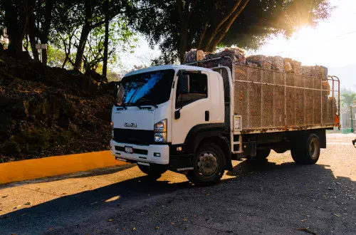 Guatemaltecos por la Nutrición, de Castillo Hermanos, impulsa economía circular en Huehuetenango