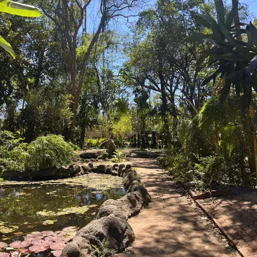 Jardín Botánico