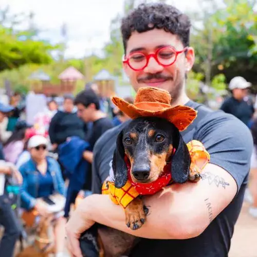 La Convención de Perros Salchicha 2026