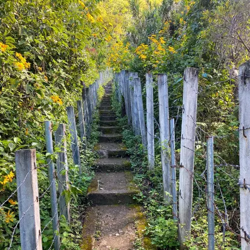 Mirador Palopó