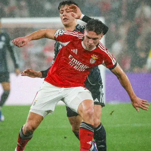 Real Madrid vs Benfica en vivo