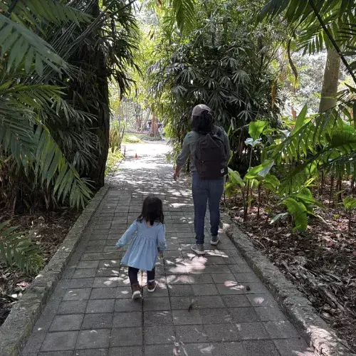 Lugares familiares en la Ciudad de Guatemala