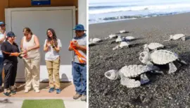 Aula educativa que fortalece la conservación del medio ambiente en Guatemala