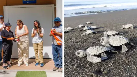 Aula educativa que fortalece la conservación del medio ambiente en Guatemala