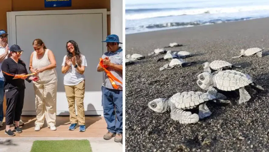 Aula educativa que fortalece la conservación del medio ambiente en Guatemala