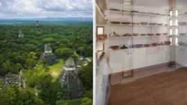 Centro de Conservación de Tikal