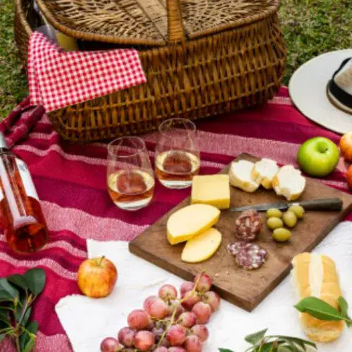 El picnic de arte 2026 en Zoológico La Aurora