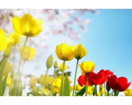 Equinoccio de primavera 2026 Guatemala