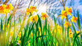 Equinoccio de primavera 2026 en Guatemala