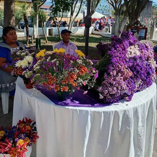 Festival de la Estaticia 2026 GT