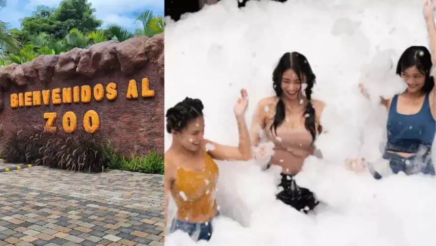 Fiesta de Espuma 2026 en Zool&oacute;gico La Aurora