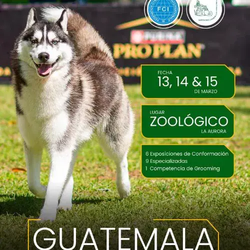La Expocan en Guatemala 2026