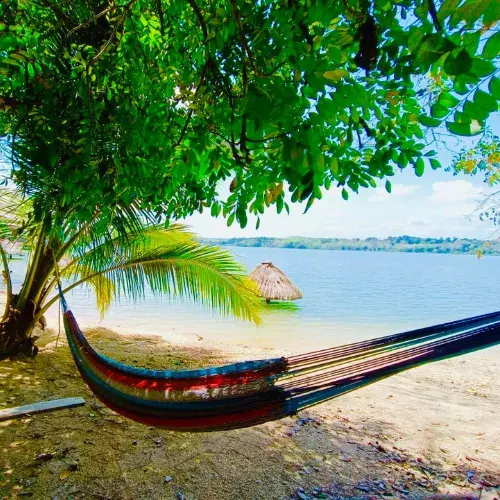 Paraíso Ecológico Hotel