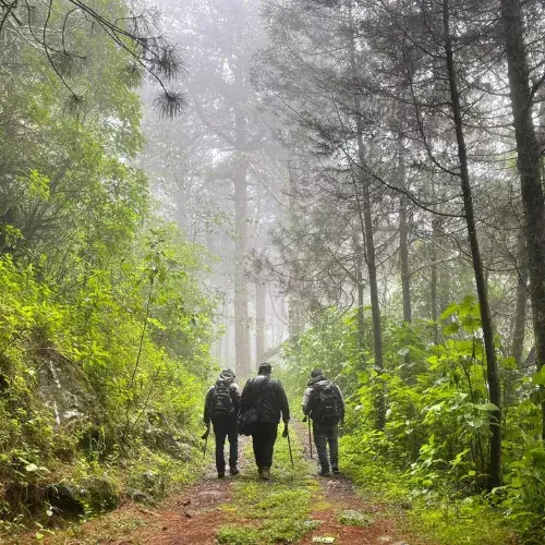 Parque Ecológico Kyaq K'ix