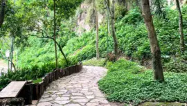 Parque Ecológico La Asunción