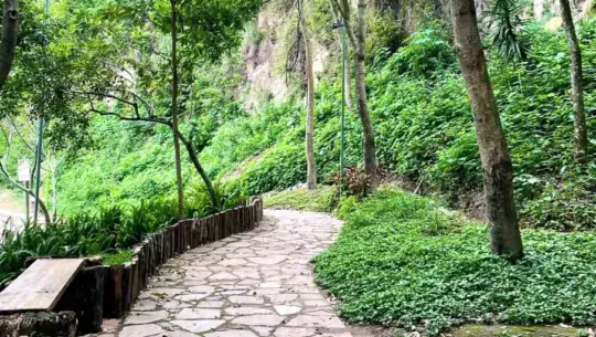 Parque Ecológico La Asunción