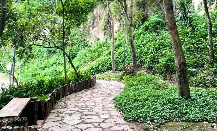 Parque Ecológico La Asunción: el rincón natural gratis que pocos conocen en la ciudad